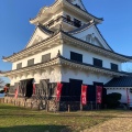 実際訪問したユーザーが直接撮影して投稿した館山城 / 城跡館山城の写真