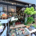 実際訪問したユーザーが直接撮影して投稿した玉川カフェcafe&green RonRonの写真