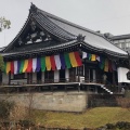 実際訪問したユーザーが直接撮影して投稿した東瓦町寺総本山智積院の写真