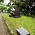 実際訪問したユーザーが直接撮影して投稿した館山公園城山公園の写真