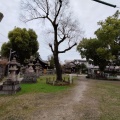 実際訪問したユーザーが直接撮影して投稿した枇杷島神社八幡社の写真