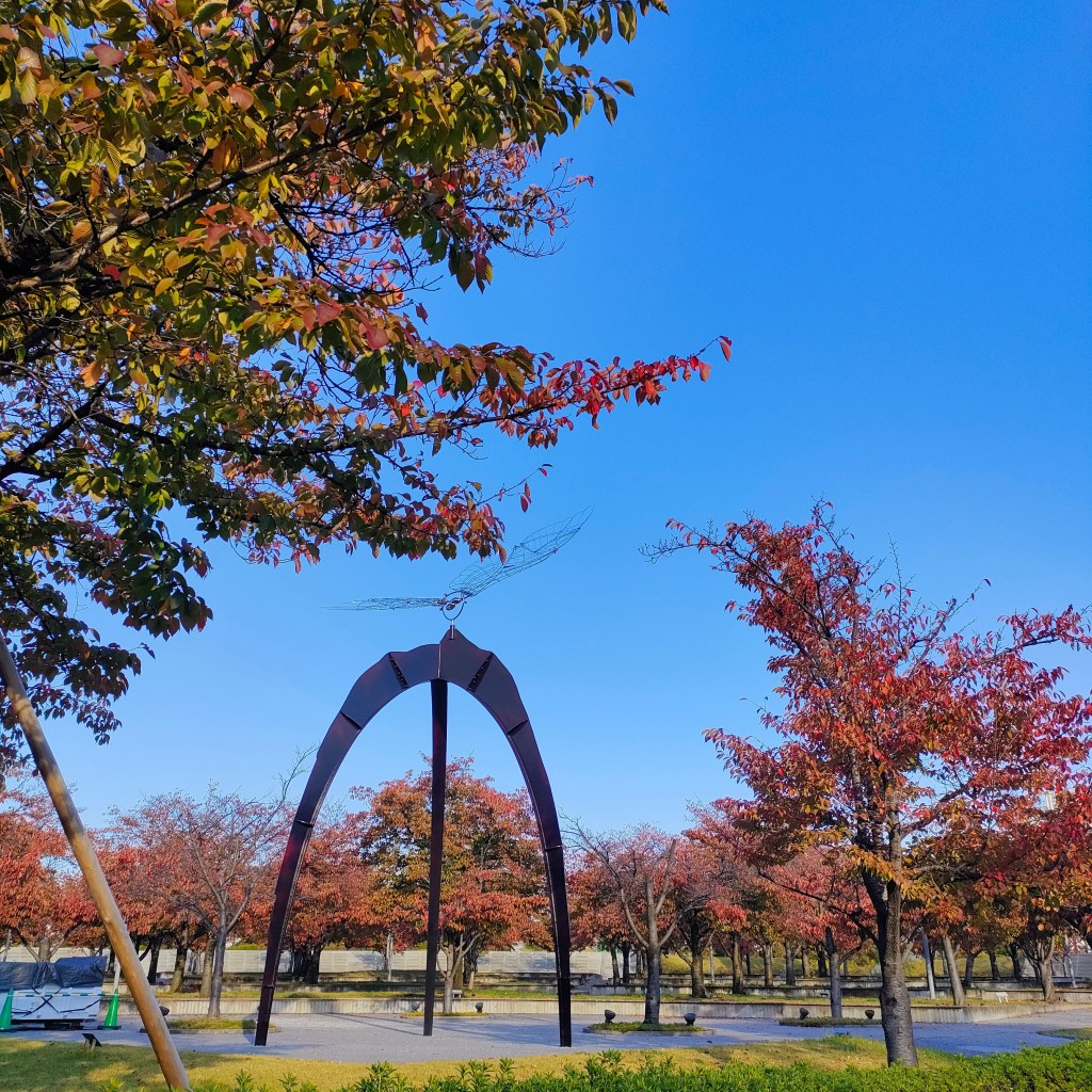 実際訪問したユーザーが直接撮影して投稿した門真公園さくら広場(門真)の写真