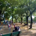 実際訪問したユーザーが直接撮影して投稿した保木間公園元渕江公園の写真