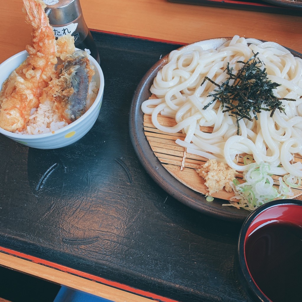 ユーザーが投稿したミニ天丼セットの写真 - 実際訪問したユーザーが直接撮影して投稿した中川和食 / 日本料理和食れすとらん 天狗 中川駅前店の写真