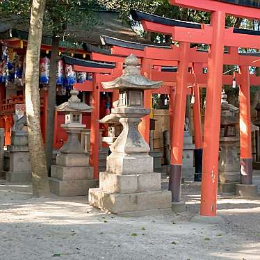 実際訪問したユーザーが直接撮影して投稿した社家町神社神明神社の写真