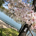 実際訪問したユーザーが直接撮影して投稿した東野町公園落合公園の写真