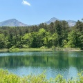 実際訪問したユーザーが直接撮影して投稿した河川五色沼の写真