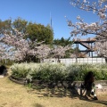 実際訪問したユーザーが直接撮影して投稿した雁宿町公園雁宿公園の写真