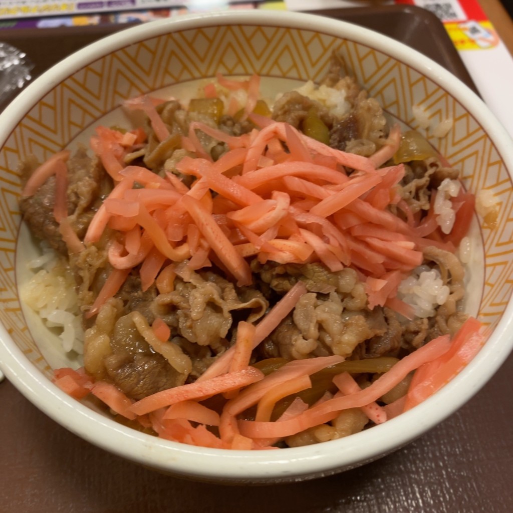 ユーザーが投稿した牛丼の写真 - 実際訪問したユーザーが直接撮影して投稿した住吉町牛丼すき家 曙橋店の写真