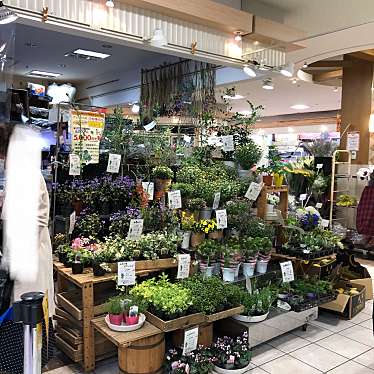 実際訪問したユーザーが直接撮影して投稿した池田町園芸用品 / 植木・苗木フラワーケンズ 西宮店の写真