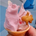 実際訪問したユーザーが直接撮影して投稿した桜台アイスクリームJet Gelato SAKURADAIの写真