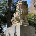 実際訪問したユーザーが直接撮影して投稿した大塚戸町神社一言主神社の写真