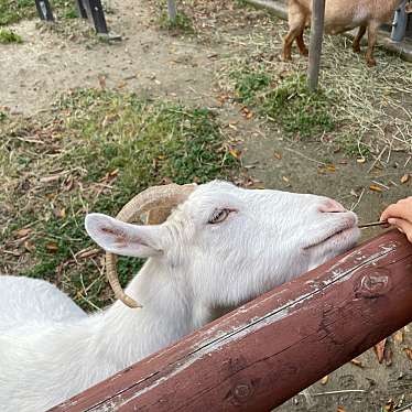 横浜市立金沢動物園のundefinedに実際訪問訪問したユーザーunknownさんが新しく投稿した新着口コミの写真