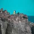 実際訪問したユーザーが直接撮影して投稿した富戸海岸 / 岬城ヶ崎海岸の写真