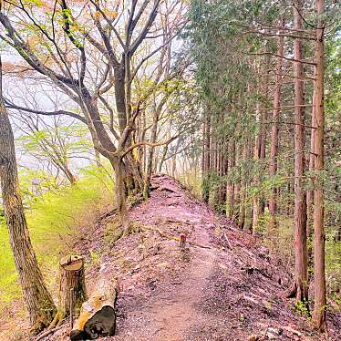 実際訪問したユーザーが直接撮影して投稿した山 / 峠陣馬山の写真