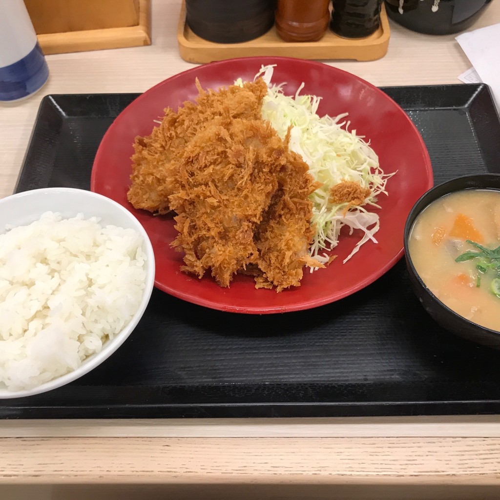 ユーザーが投稿したヒレカツ定食の写真 - 実際訪問したユーザーが直接撮影して投稿した問屋町とんかつかつや 高崎問屋町店の写真