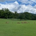 実際訪問したユーザーが直接撮影して投稿した雑司町公園奈良公園の写真