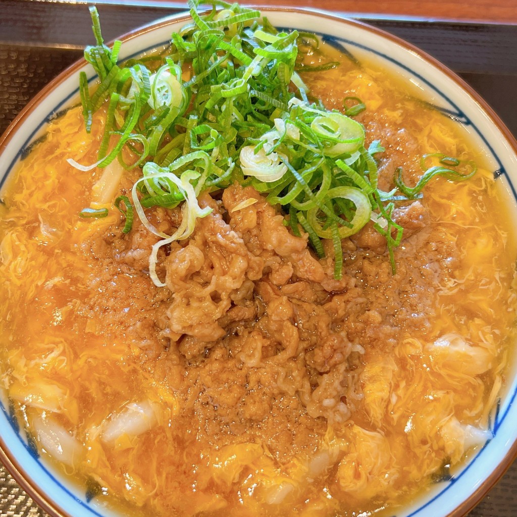 ユーザーが投稿した肉ガサネあんかけ(並)の写真 - 実際訪問したユーザーが直接撮影して投稿した神辺町うどん丸亀製麺 鳥栖店の写真