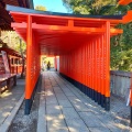 実際訪問したユーザーが直接撮影して投稿した犬山神社三光稲荷神社の写真