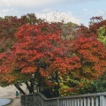 実際訪問したユーザーが直接撮影して投稿した東須磨公園神戸市立須磨離宮公園の写真