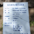 実際訪問したユーザーが直接撮影して投稿した飯富公園袖ケ浦(そでがうら)公園の写真