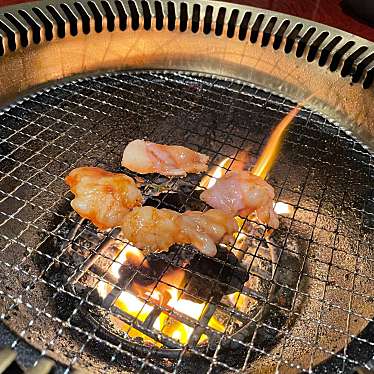 実際訪問したユーザーが直接撮影して投稿した加古川町寺家町焼肉焼肉の家 いちえんの写真