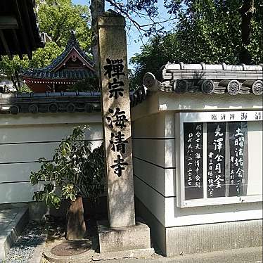 実際訪問したユーザーが直接撮影して投稿した六湛寺町寺海清寺の写真