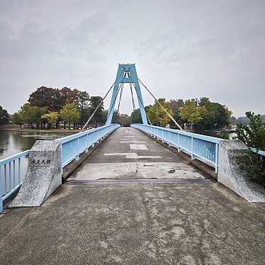 実際訪問したユーザーが直接撮影して投稿した水元公園橋水元大橋の写真