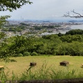 実際訪問したユーザーが直接撮影して投稿した玉島柏島寺備中玉島円通寺の写真