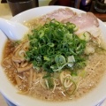 実際訪問したユーザーが直接撮影して投稿した登戸ラーメン / つけ麺京都ラーメン 森井 向ケ丘遊園店の写真