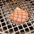 実際訪問したユーザーが直接撮影して投稿した悲田院町焼肉大衆 焼き肉ホルモン 大松 天王寺MIO店の写真