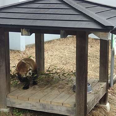 鯖江市 西山動物園のundefinedに実際訪問訪問したユーザーunknownさんが新しく投稿した新着口コミの写真