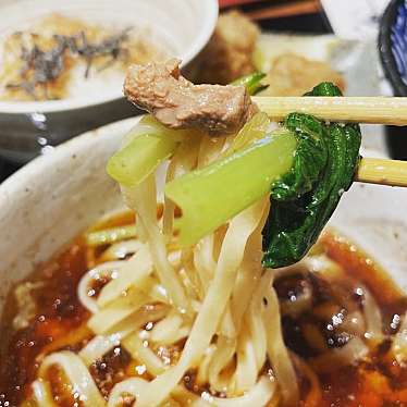 実際訪問したユーザーが直接撮影して投稿した横井上ラーメン / つけ麺麺酒一照庵 つけ麺 麺と四季の写真