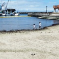 実際訪問したユーザーが直接撮影して投稿した港町公園清水マリンパークの写真