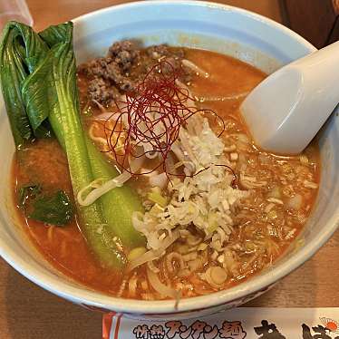 実際訪問したユーザーが直接撮影して投稿した西ケ崎町ラーメン / つけ麺あっぱれ家 浜松有玉店の写真