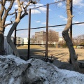 実際訪問したユーザーが直接撮影して投稿した中の島二条公園中の島公園の写真