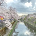 実際訪問したユーザーが直接撮影して投稿した河川大岡川の写真