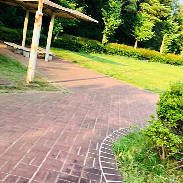 実際訪問したユーザーが直接撮影して投稿した加茂公園かも公園の写真