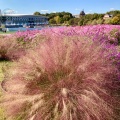 実際訪問したユーザーが直接撮影して投稿した茨ケ廻間公園愛・地球博記念公園(モリコロパーク)の写真