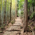 実際訪問したユーザーが直接撮影して投稿した木本町山 / 峠松本峠の写真