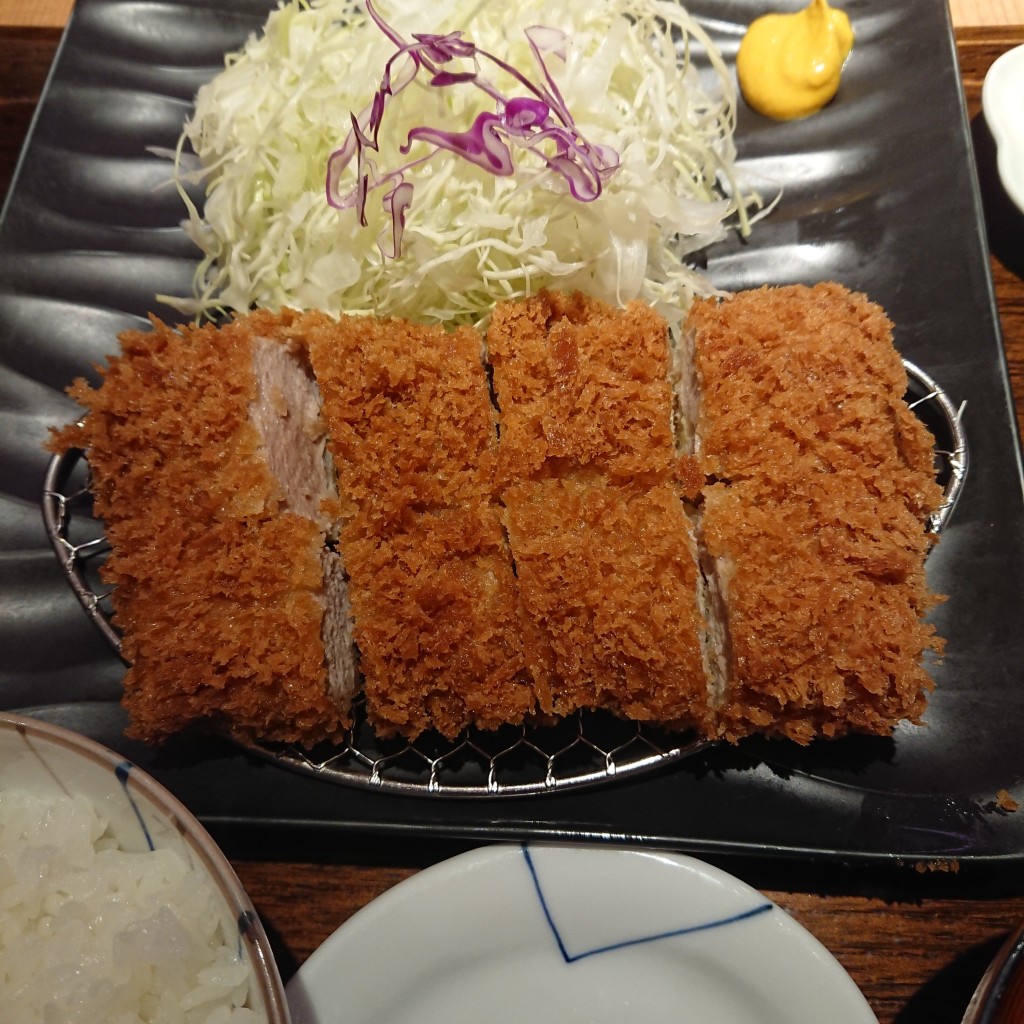 ユーザーが投稿したヒレカツご飯の写真 - 実際訪問したユーザーが直接撮影して投稿した高島とんかつとんかつ和幸 ポルタ横浜店の写真