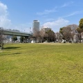 実際訪問したユーザーが直接撮影して投稿した中之島広場中之島公園 芝生広場の写真