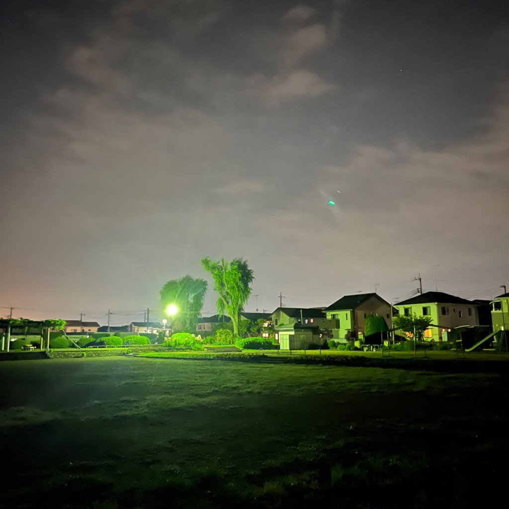 実際訪問したユーザーが直接撮影して投稿した米山南町公園米山公園の写真