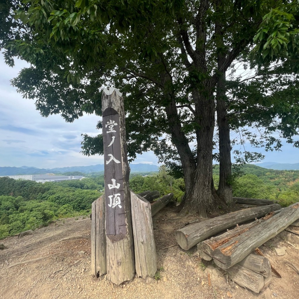 実際訪問したユーザーが直接撮影して投稿した富田公園男衾自然公園(男衾桜の里)の写真