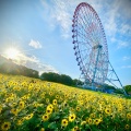 実際訪問したユーザーが直接撮影して投稿した臨海町公園東京都立葛西臨海公園の写真