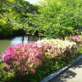 実際訪問したユーザーが直接撮影して投稿した康生町公園岡崎公園の写真