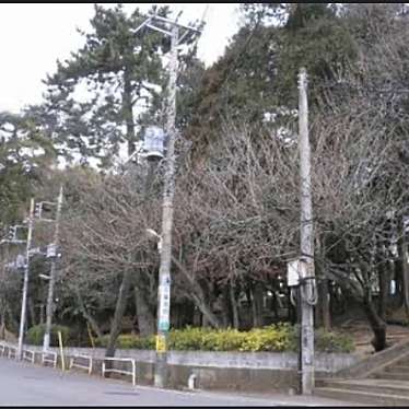 実際訪問したユーザーが直接撮影して投稿した常盤平公園さくら公園の写真