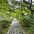 実際訪問したユーザーが直接撮影して投稿した薪里ノ内寺酬恩庵 一休寺の写真