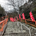 実際訪問したユーザーが直接撮影して投稿した早崎町神社竹生島神社の写真