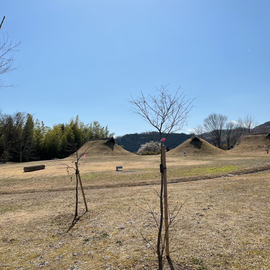 実際訪問したユーザーが直接撮影して投稿した山田上ノ台町歴史 / 遺跡仙台市縄文の森広場の写真